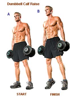 Dumbbell squat to calf raise sale